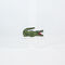 lacoste cotton twill cap