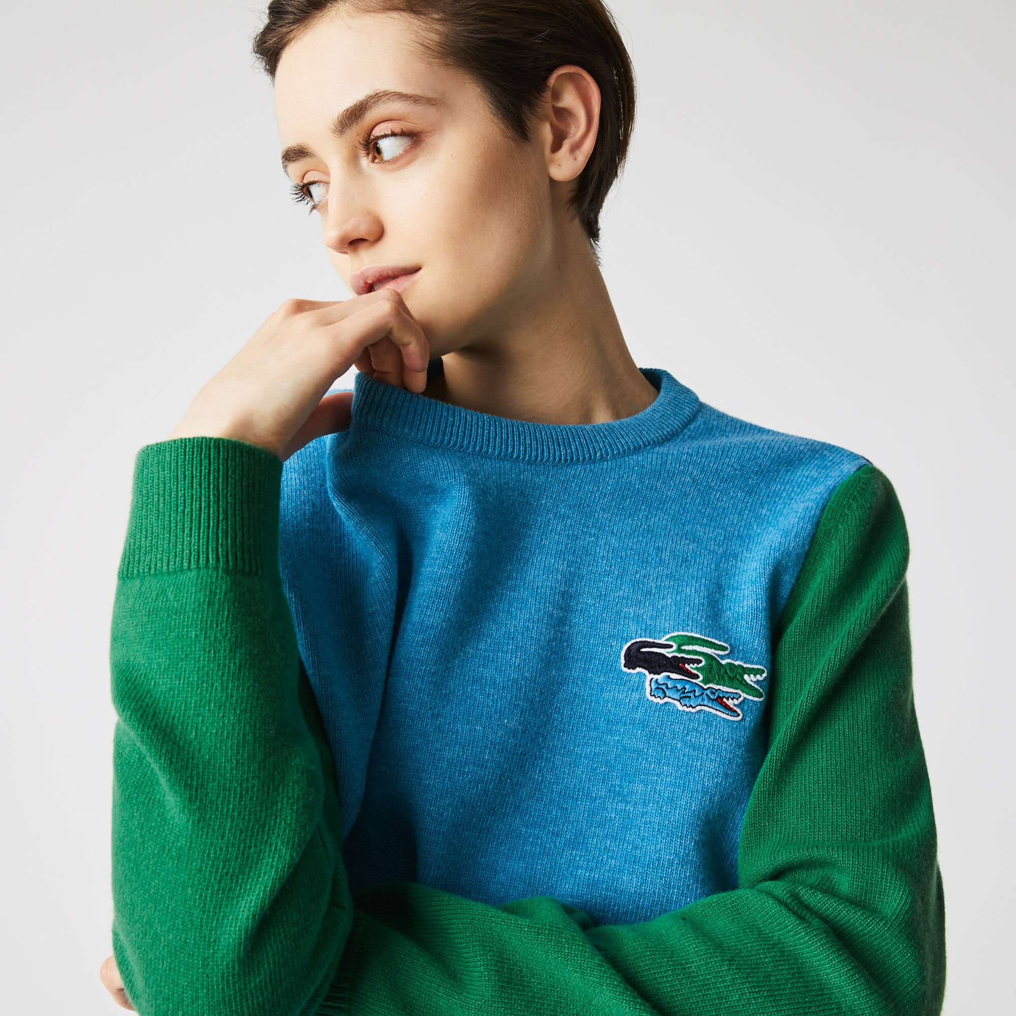 Buy Women s Crew Neck Crocodiles Badge Colorblock Wool Sweater Lacoste QA
