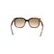 lacoste women s rectangle acetate croco skin sunglasses