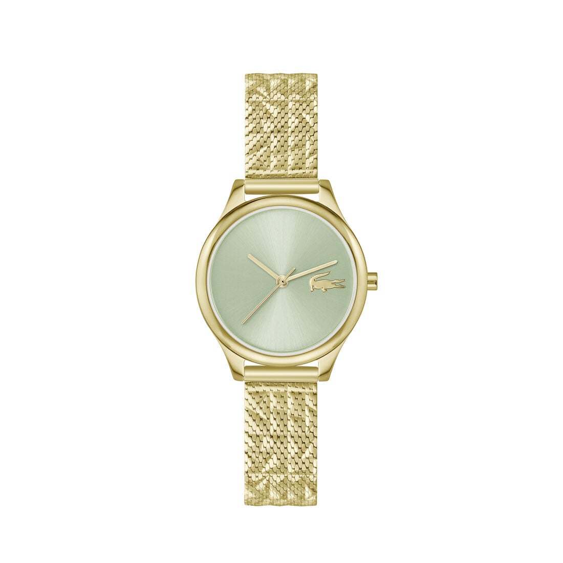 Thin Gold-Plated Steel Women's Watch