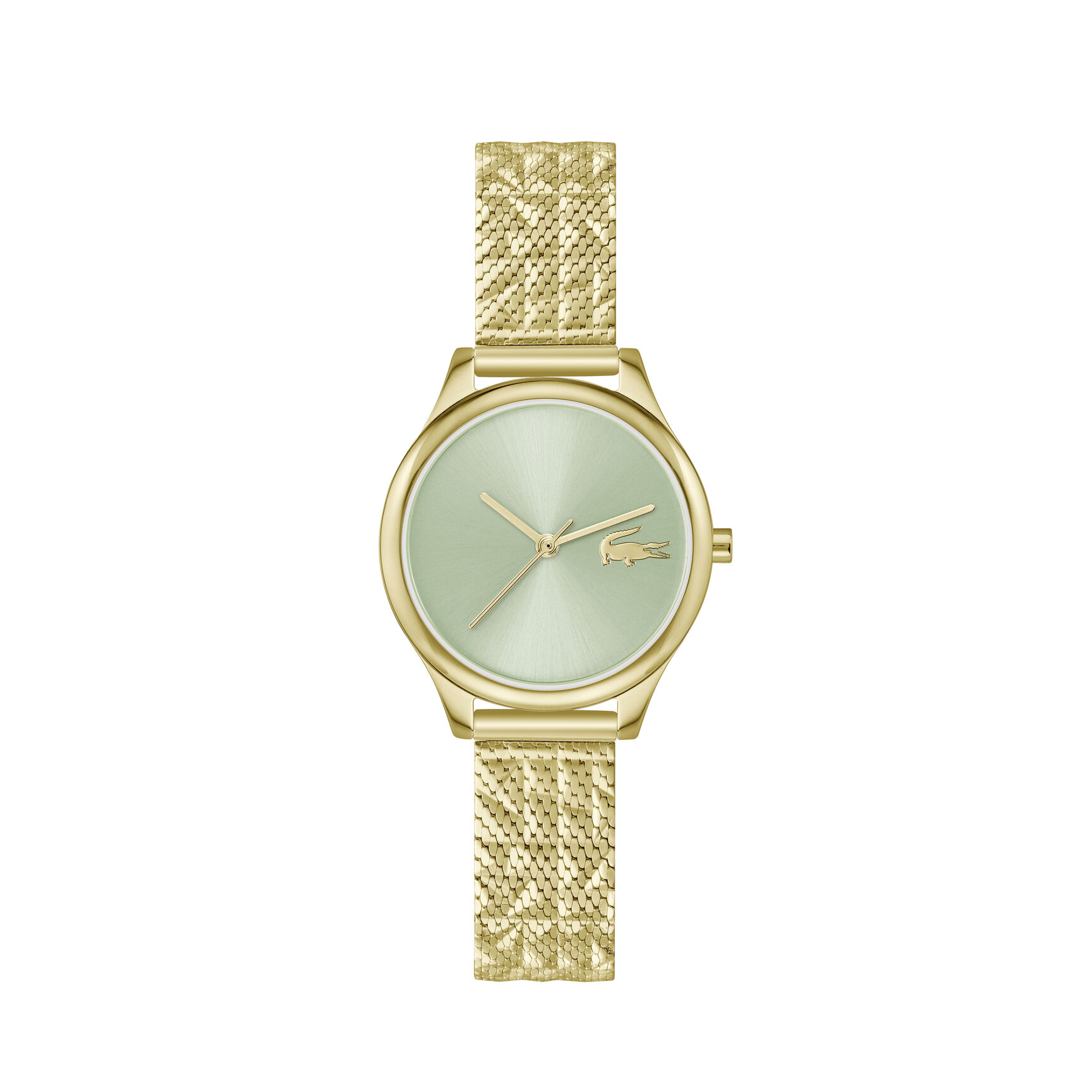 Thin Gold-Plated Steel Women's Watch Thin Gold-Plated Steel Women's Watch