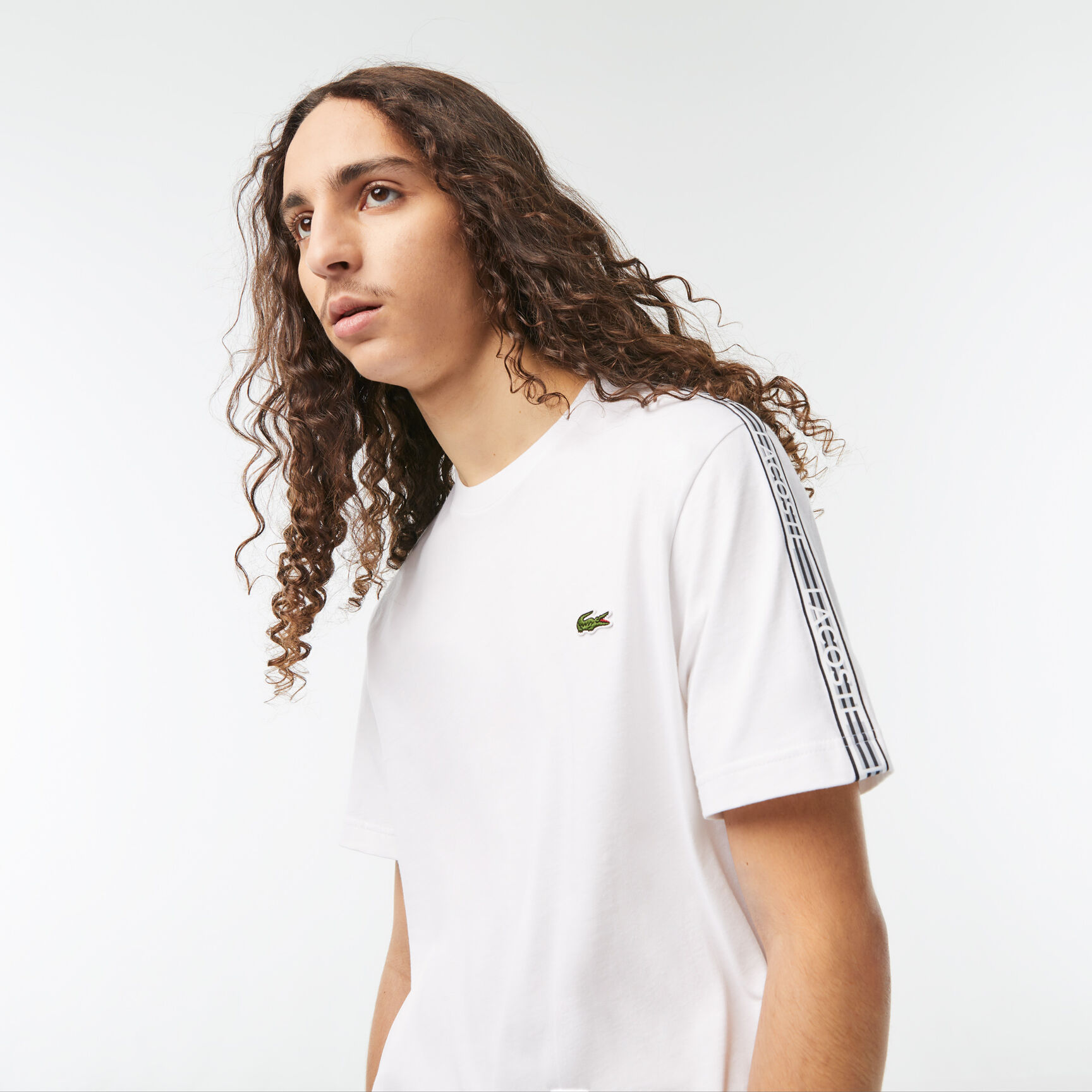 Men's Lacoste Regular Fit Logo Stripe T-shirt Men's Lacoste Regular Fit Logo Stripe T-shirt