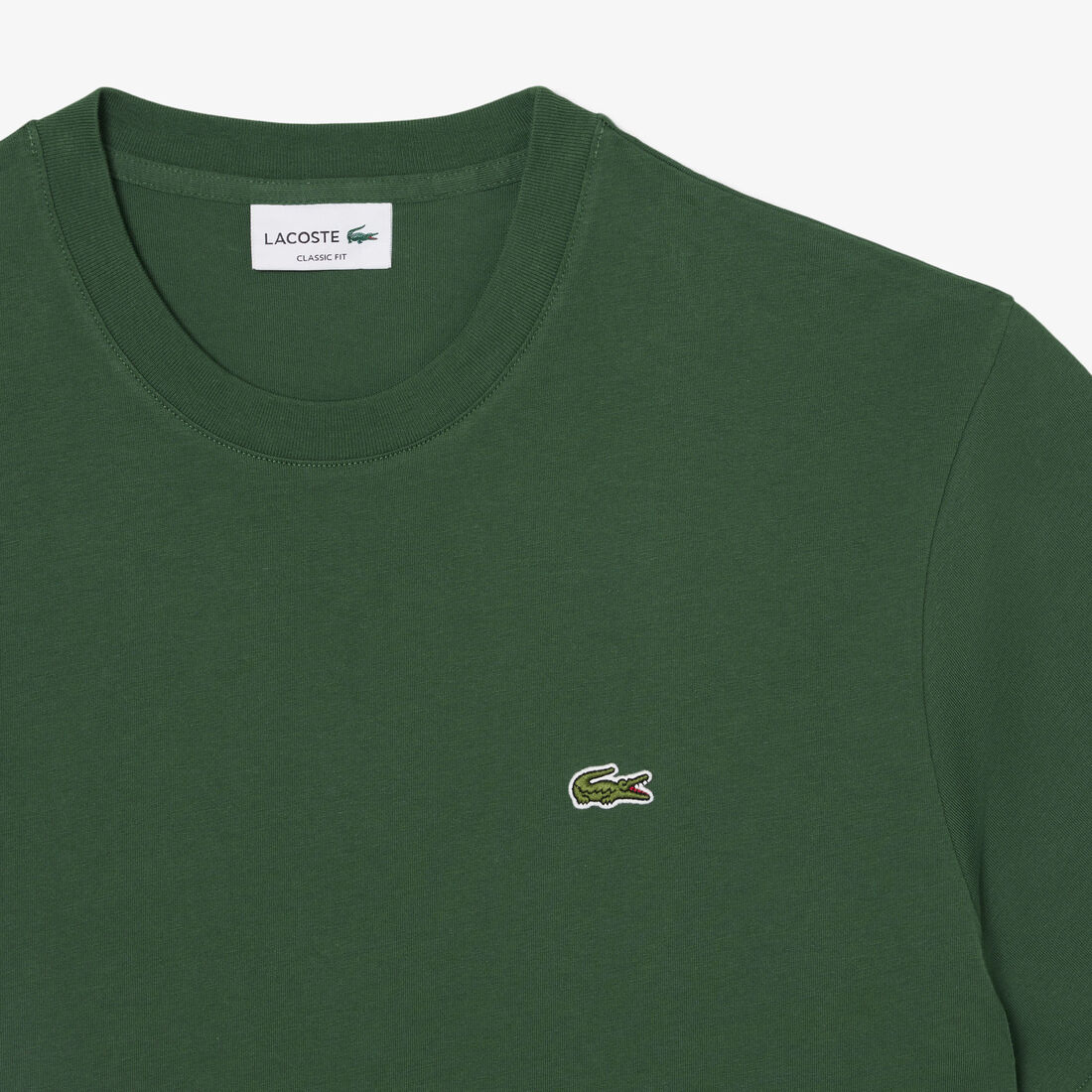 Cotton T-shirt Cotton T-shirt